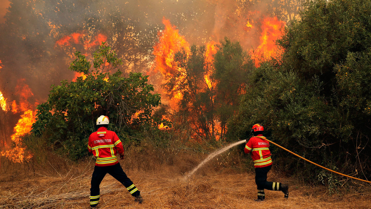 Тушение лесных пожаров