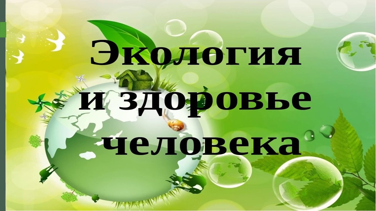 Путешествие в страну «Экология» | 14.04.2022 | Гусь-Хрустальный - БезФормата