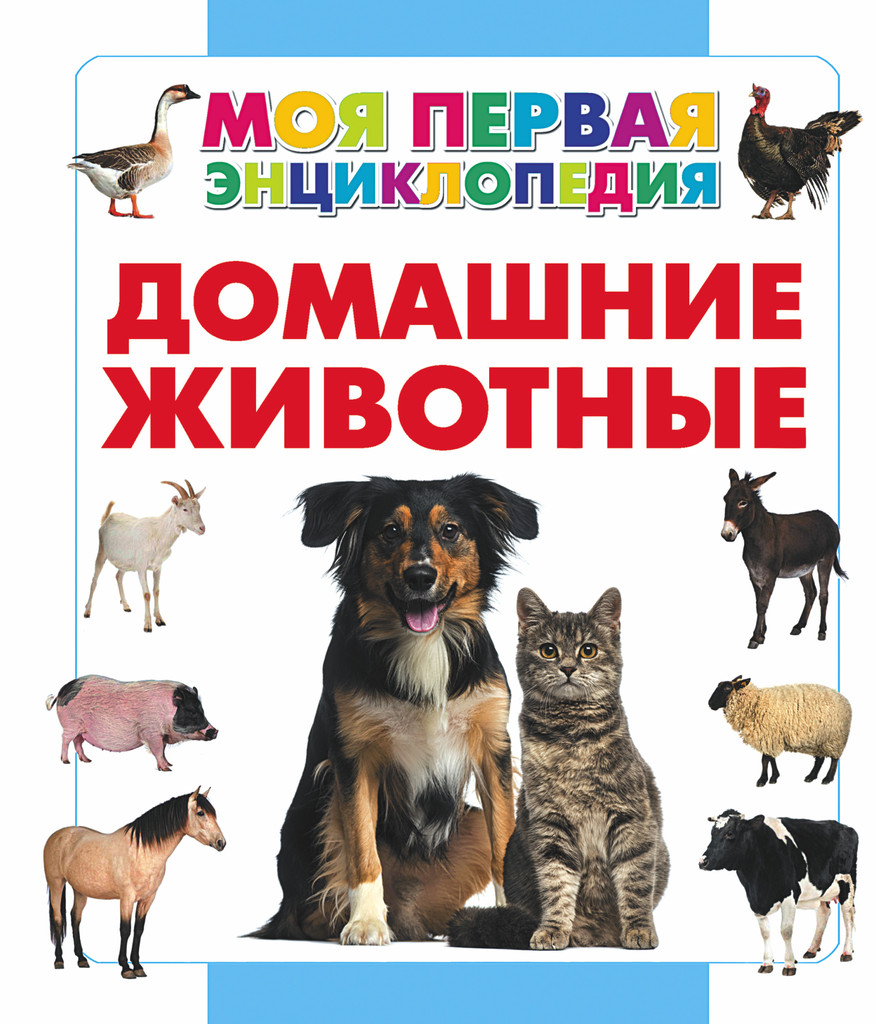 Наши верные друзья!» | 30.11.2022 | Гусь-Хрустальный - БезФормата