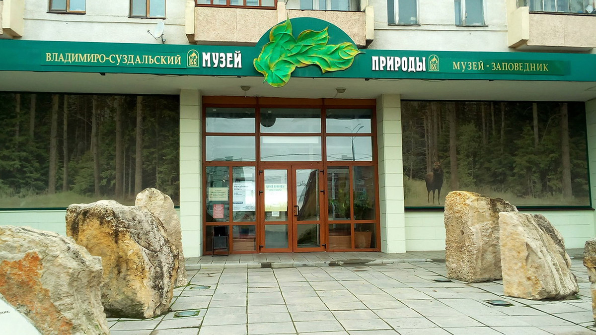 владимир краеведческий музей