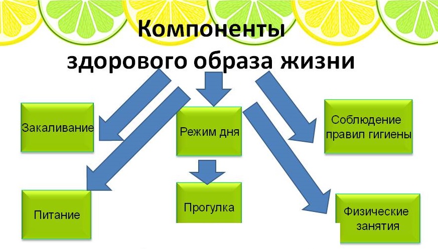 Зож компоненты презентация